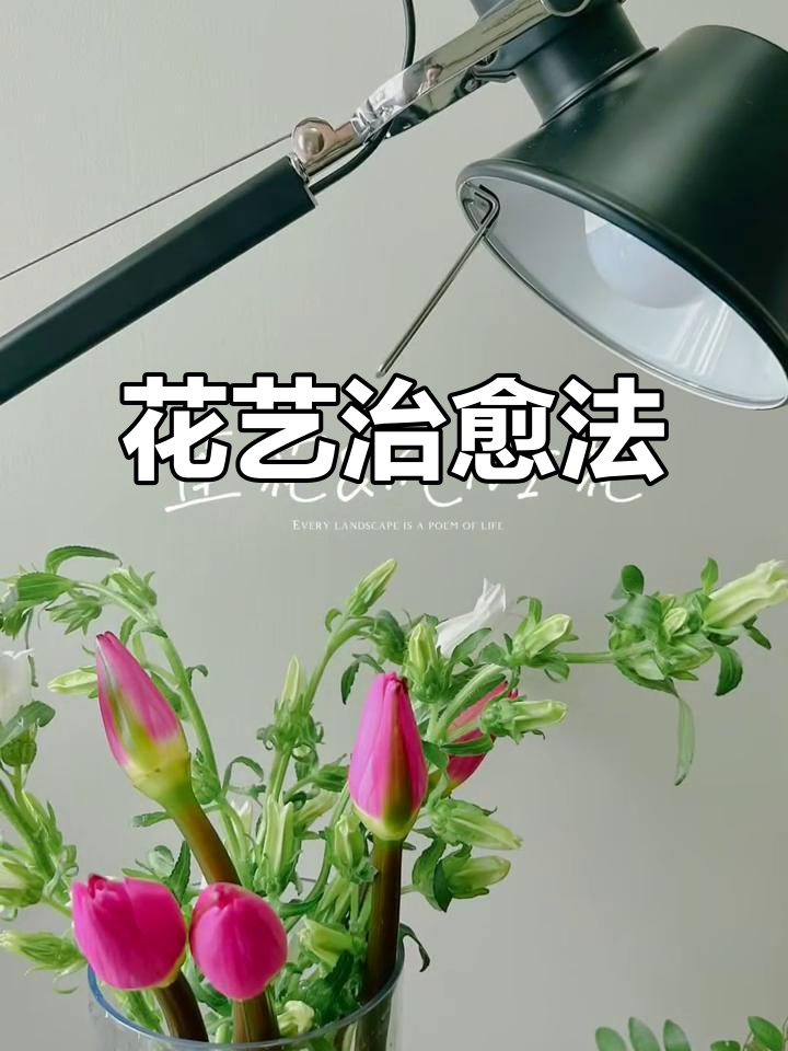 莲花风铃花醒花秘籍,轻松恢复生机!
