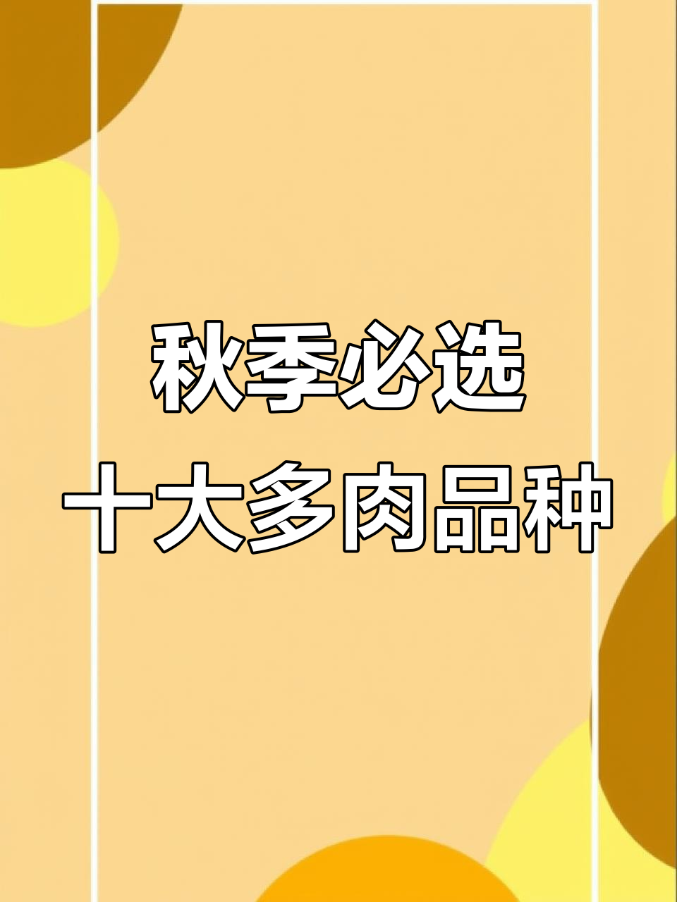 秋季必选十大多肉品种