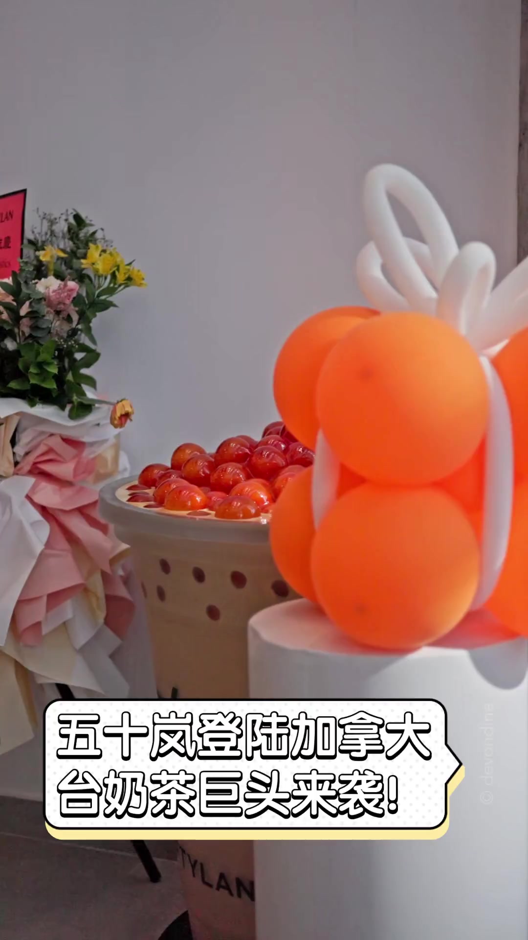 五十岚登陆加拿大,台奶茶巨头来袭!
