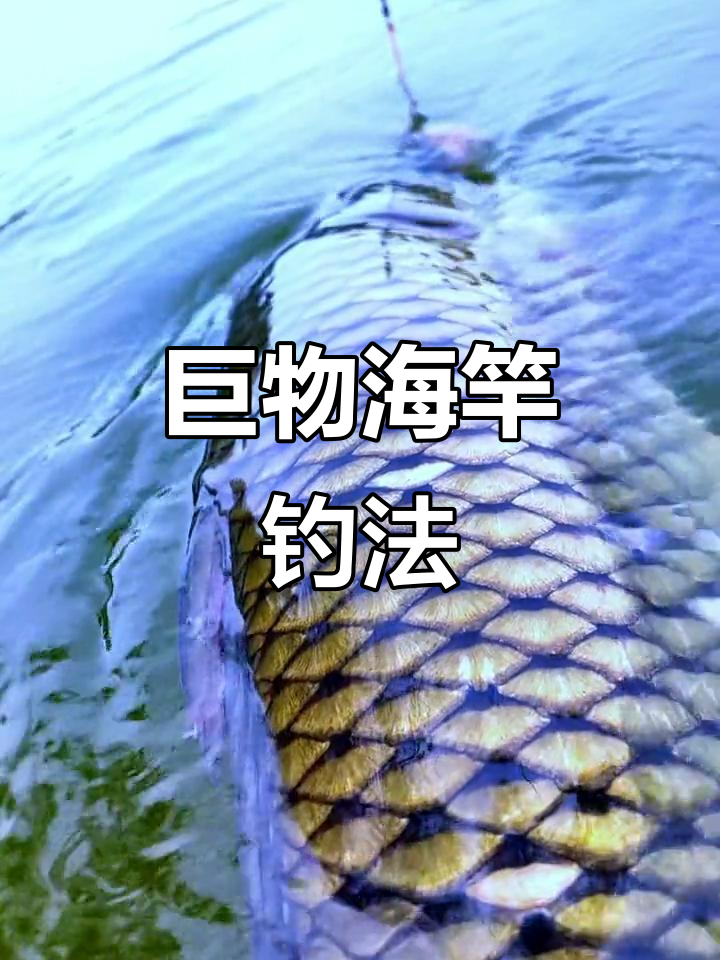 海竿底钓大青鱼,浏阳钩迷你钓法全解析