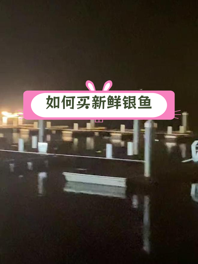 银鱼捕捞与购买指南