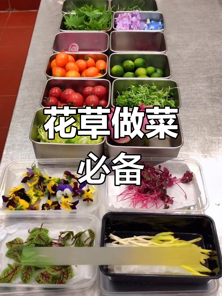 烹饪中的花草搭配,提升你的摆盘技巧