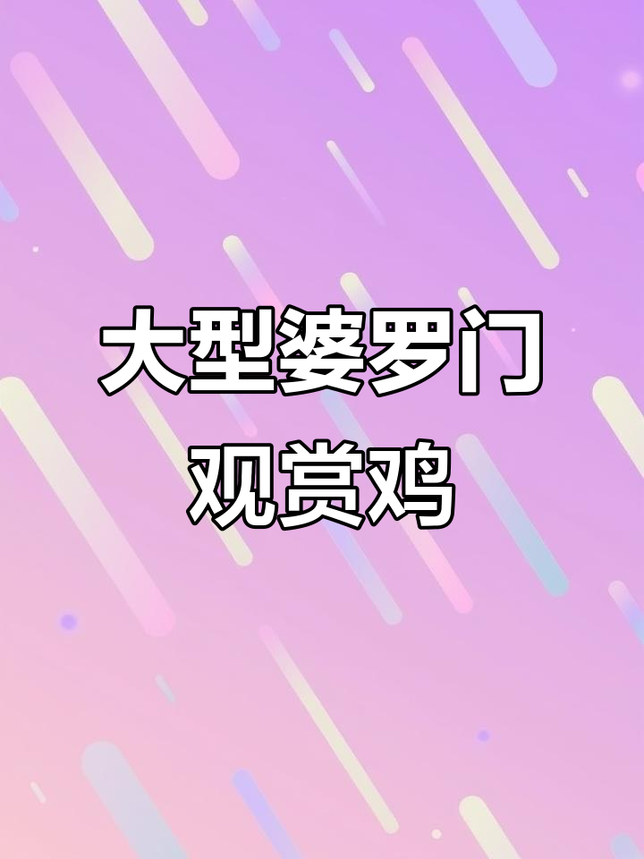 婆罗门观赏鸡:大体型、温顺可爱,生蛋率高