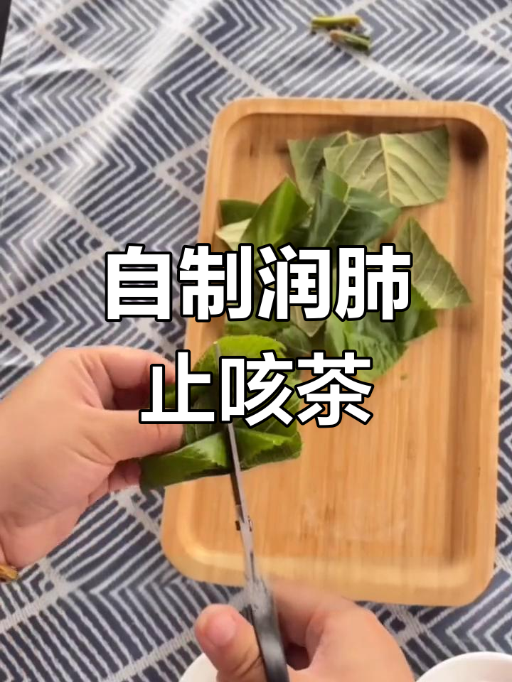 枇杷叶桑叶止咳茶,全家适用