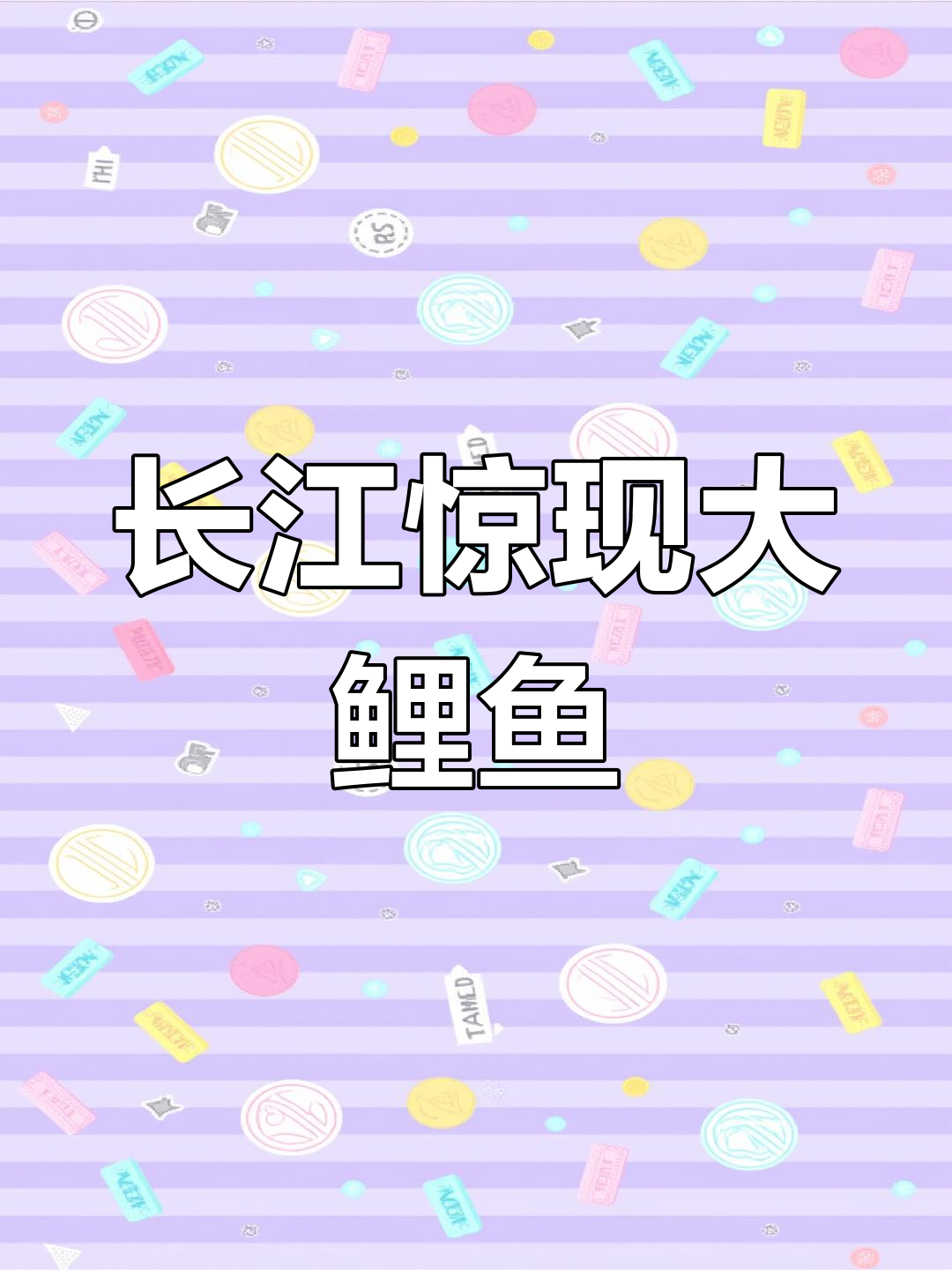 长江现巨型鲤鱼,震撼全场