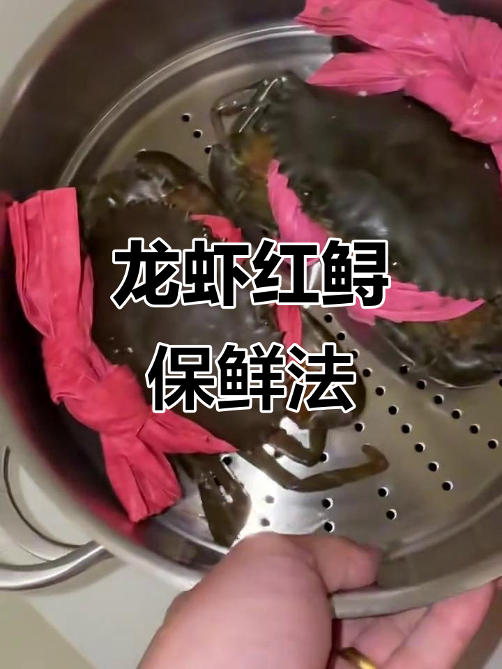 龙虾红鲟这样保存,能活好几天!