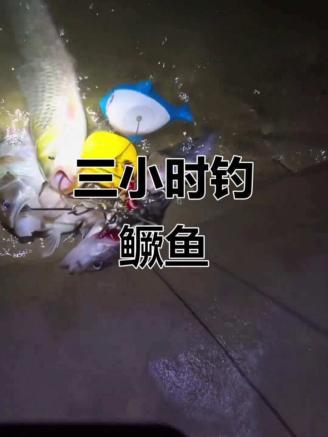 三个小时钓鱼之旅,鳜鱼和口红眼棒的奇妙搭配