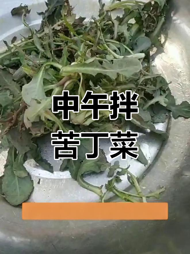 苦丁菜的美味吃法,清爽又健康