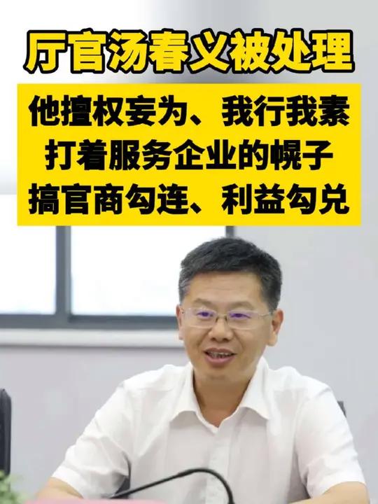 厅言汤春义被处理 他擅权妄为、我行我素,打着服务企业的幌子搞官商勾连、利益勾兑