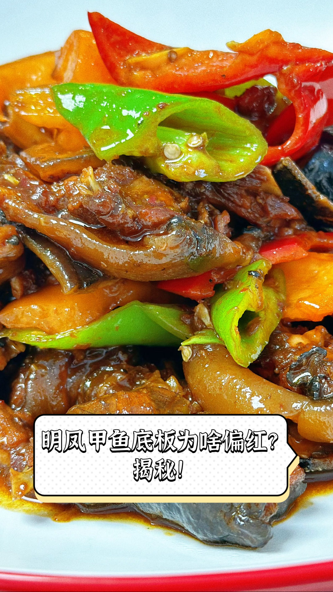 明凤甲鱼底板为啥偏红?揭秘!