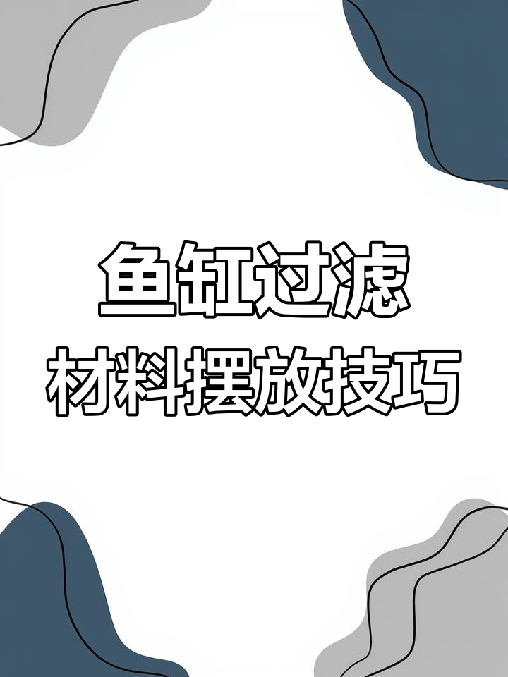 鱼缸滤材正确使用指南,避免常见错误