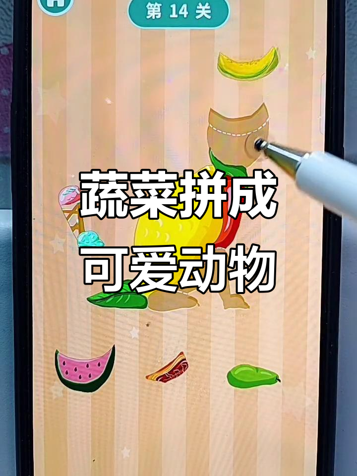 用蔬菜拼出小动物，田鼠、变色龙都能变出来！