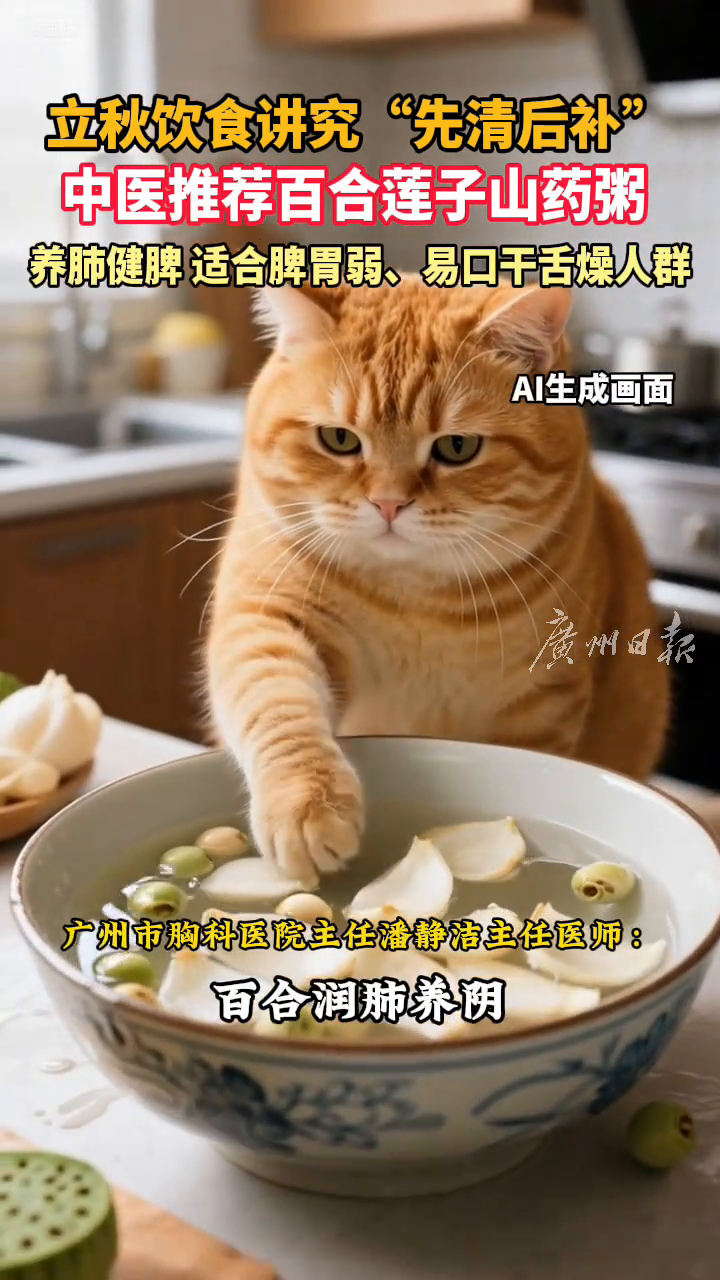 立秋饮食讲究“先清后补”,中医推荐百合莲子山药粥