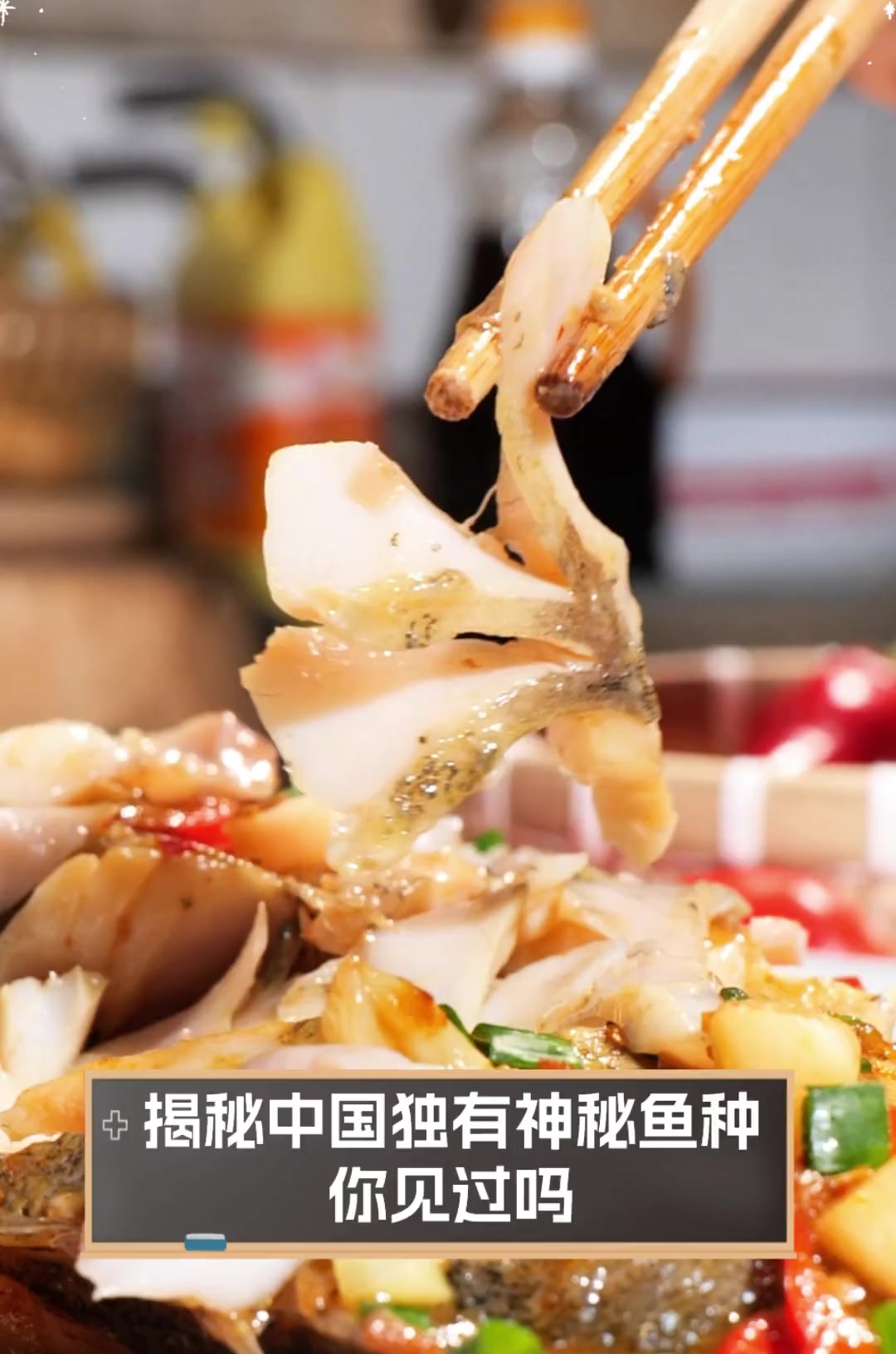 揭秘中国独有神秘鱼种,你见过吗