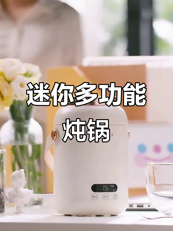 小熊电炖锅,迷你便携,煮粥煲汤一机搞定
