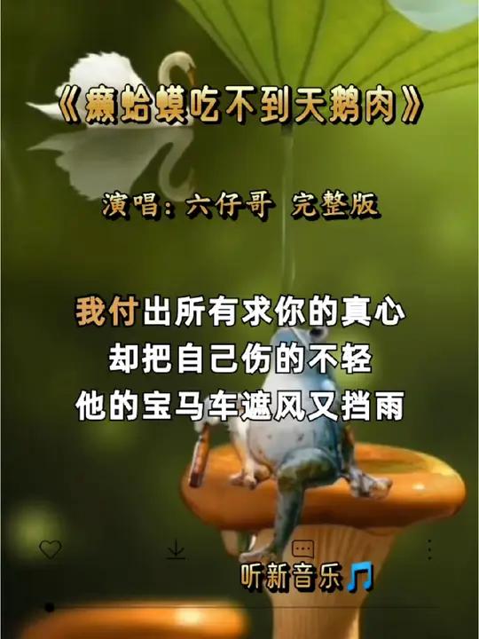 癞蛤蟆吃不到天鹅肉 完整版 六仔哥 我却等不到你给的温柔 月老的红线牵了他的狗 我已无法将