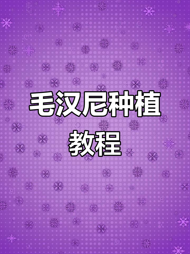 毛汉尼种植技巧大公开,打造独特多肉造型