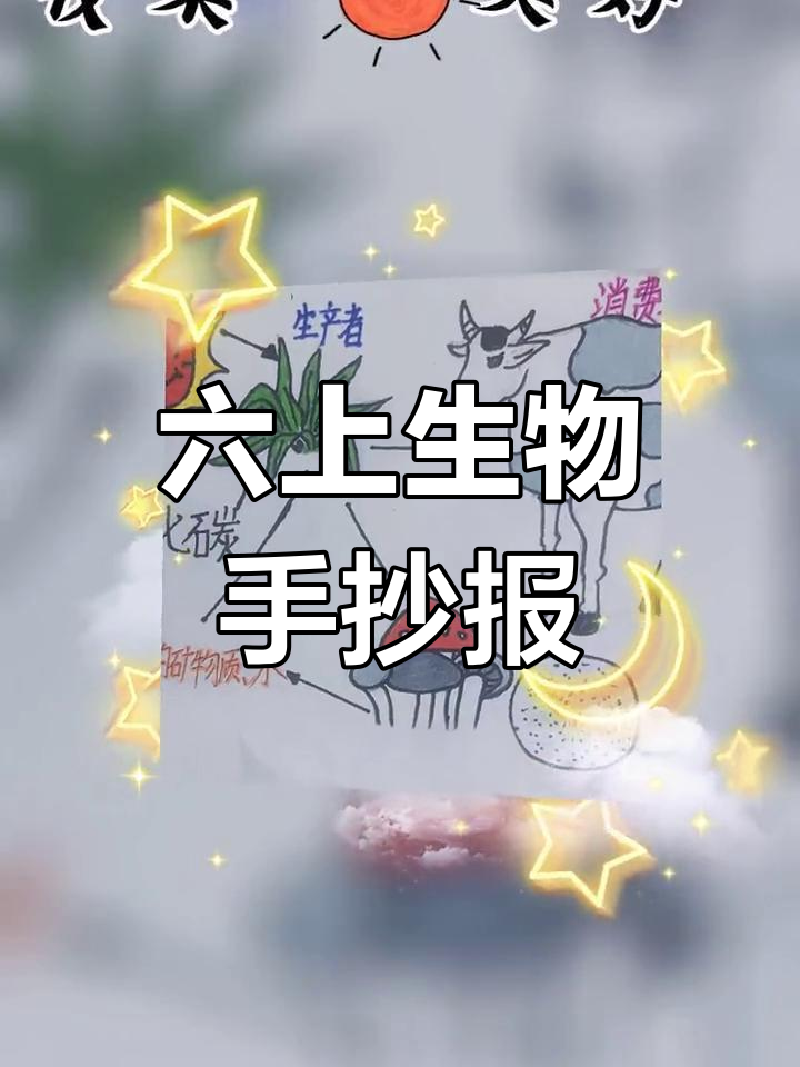 六年级生物手抄报展示