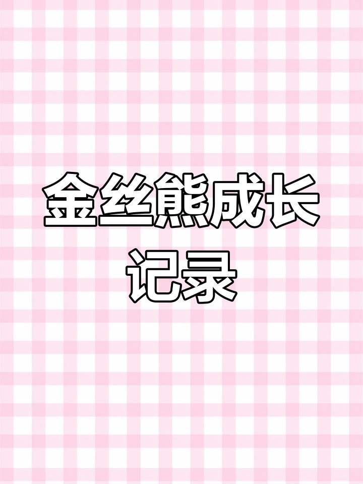 鸽灰金丝熊与黑波配种效果