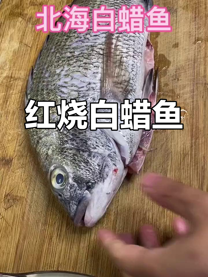 北海海鱼红烧白蜡鱼,鲜美家常做法