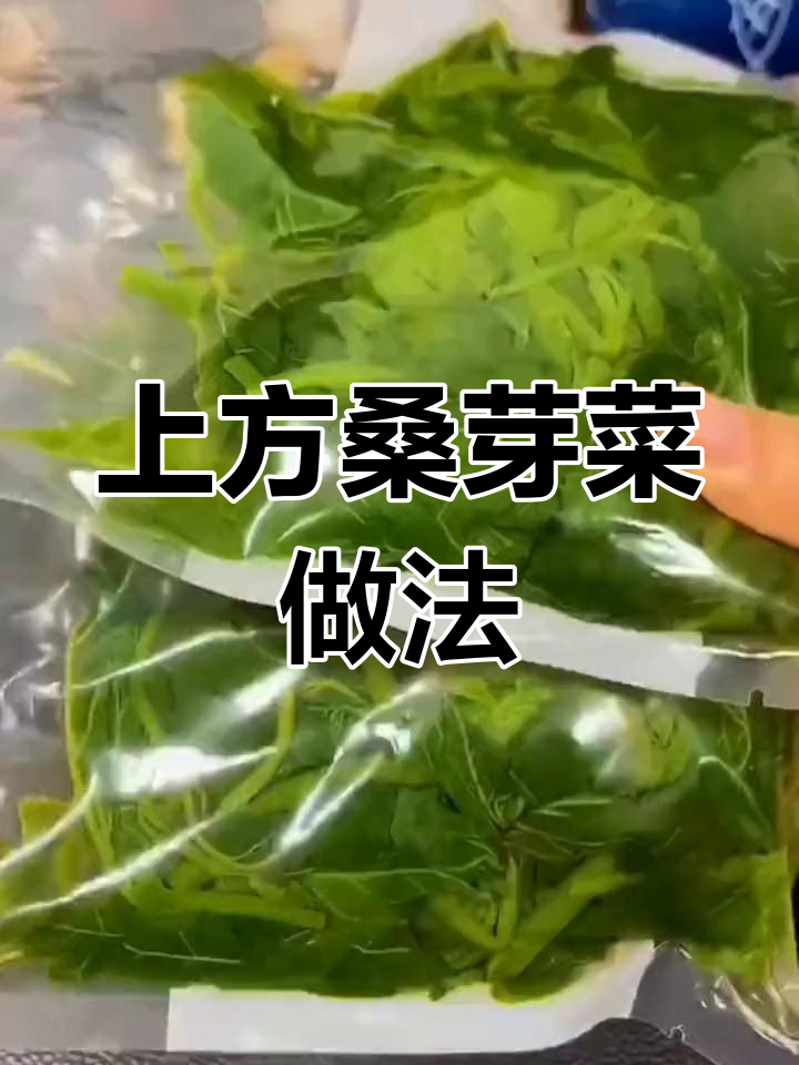 桑芽菜炒肉丝,家常美味又减脂
