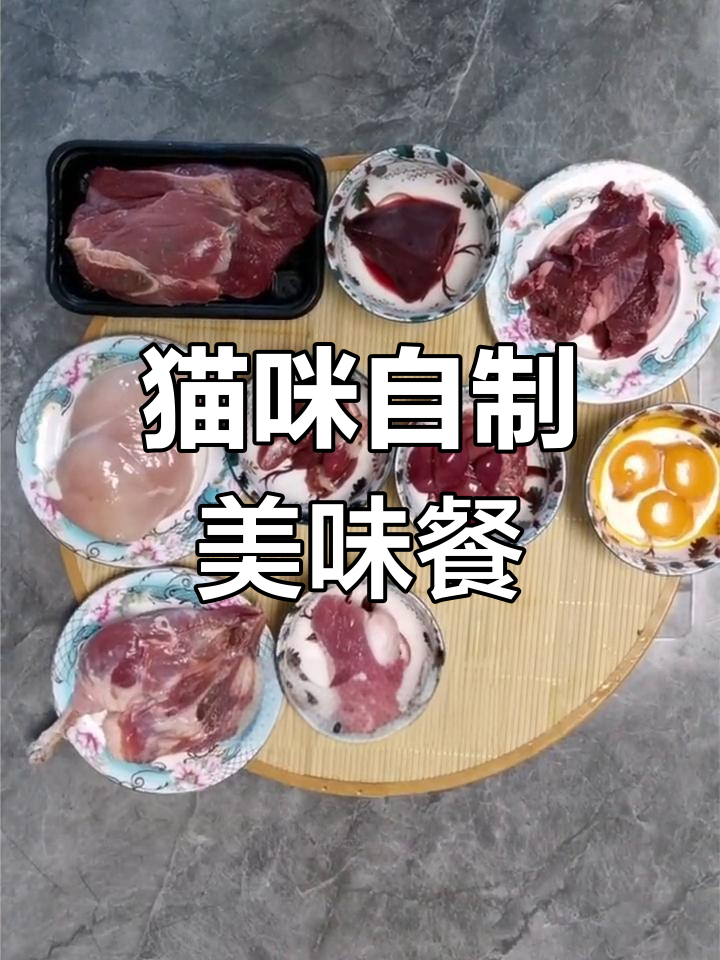 自制猫饭食谱,十种食材营养搭配