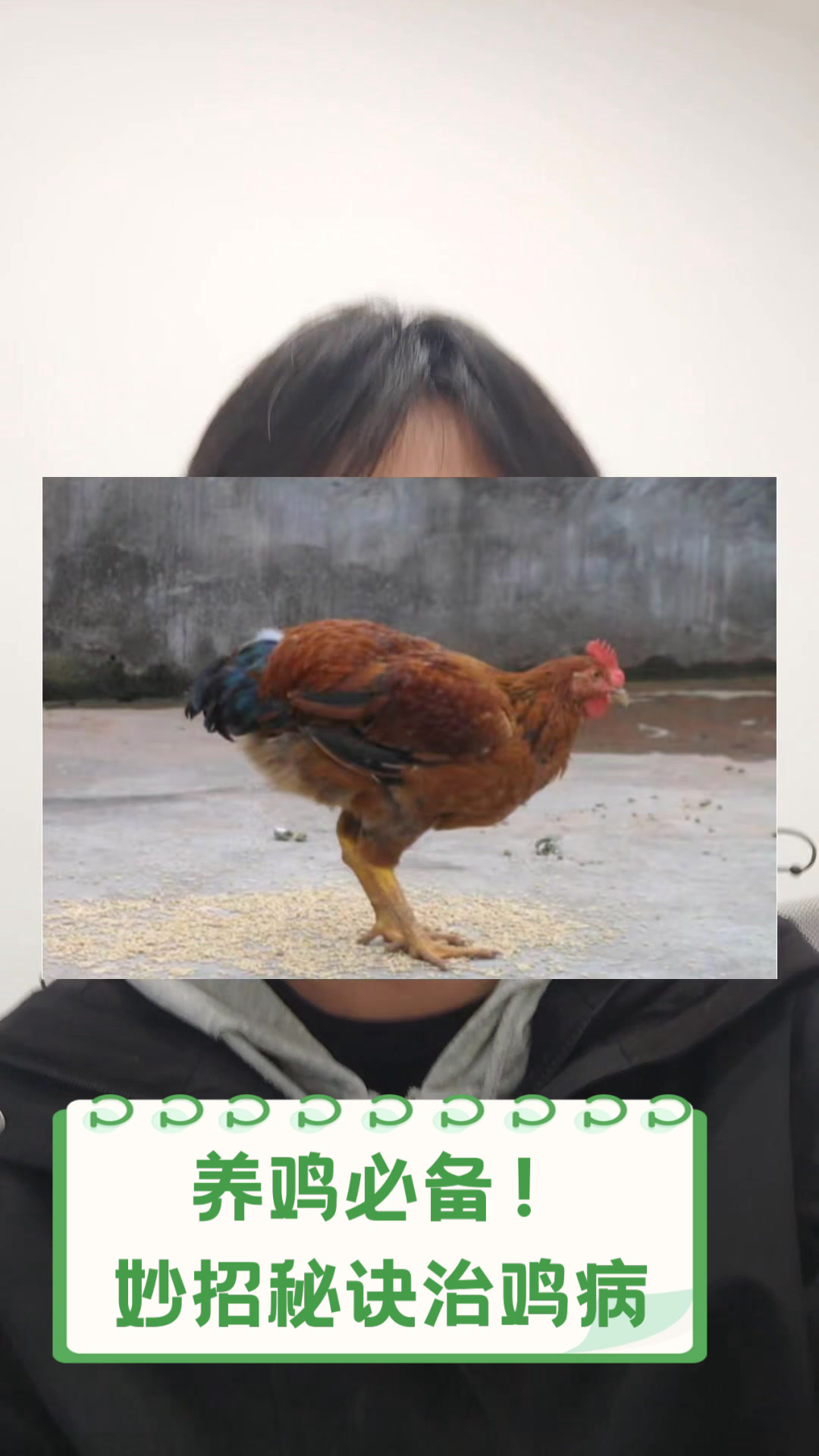 养鸡必备!妙招秘诀治鸡病