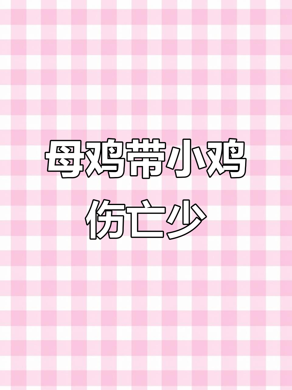 母鸡带小鸡,成活率更高!有条件的单独关养更健康