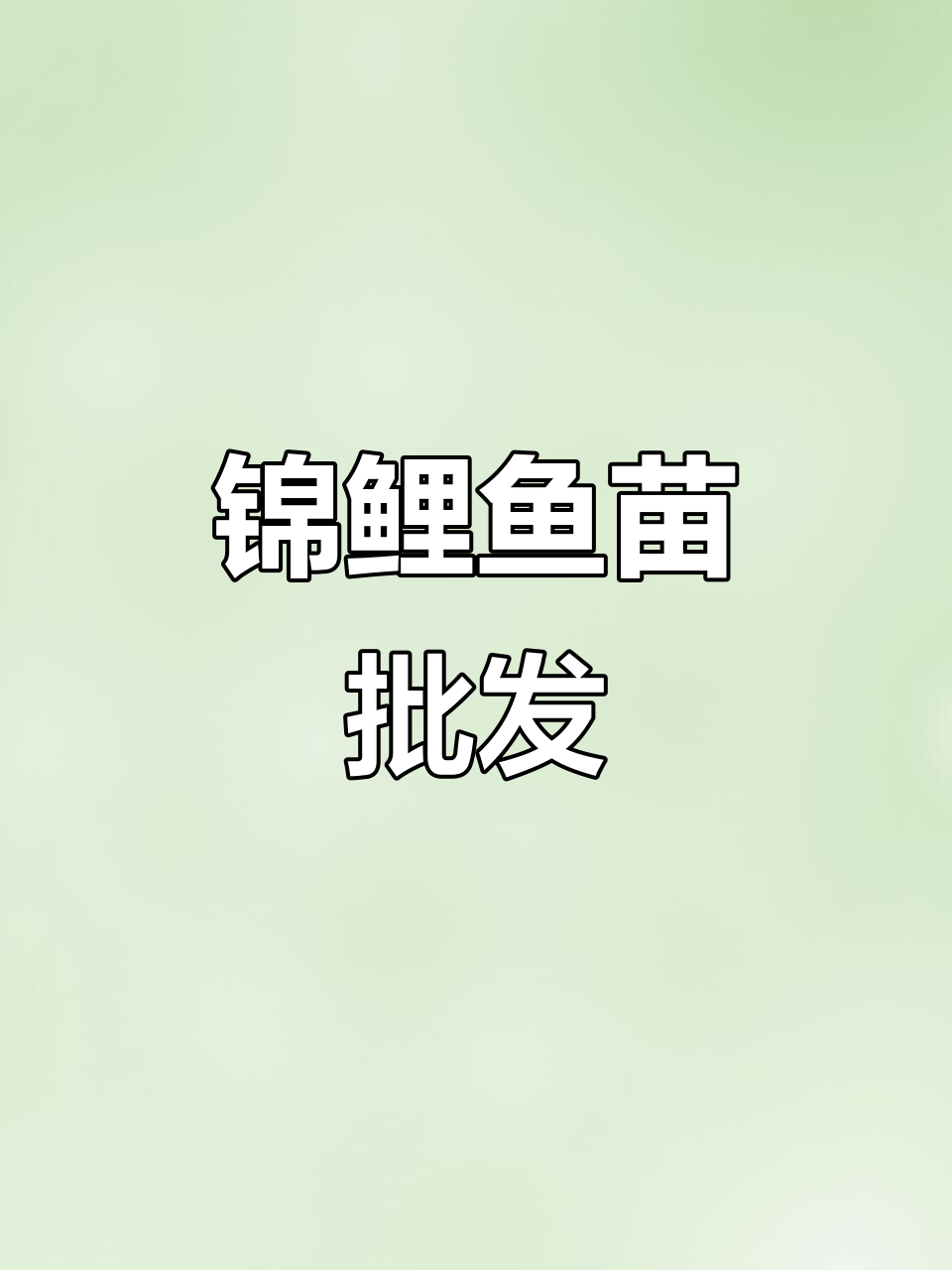 优质锦鲤鱼苗,批发供应,深圳及周边地区均可放生