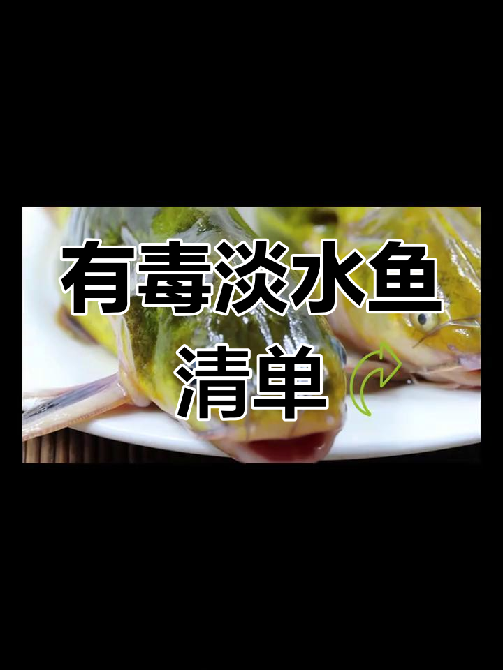 春季钓鱼注意!这些淡水鱼有毒,钓到后要小心处理