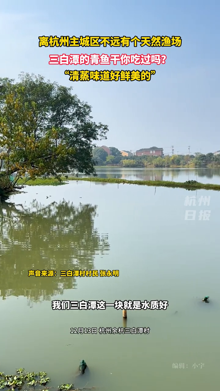 杭州三白潭的青鱼干你吃过吗?生态保护好水质养一方鲜美好鱼