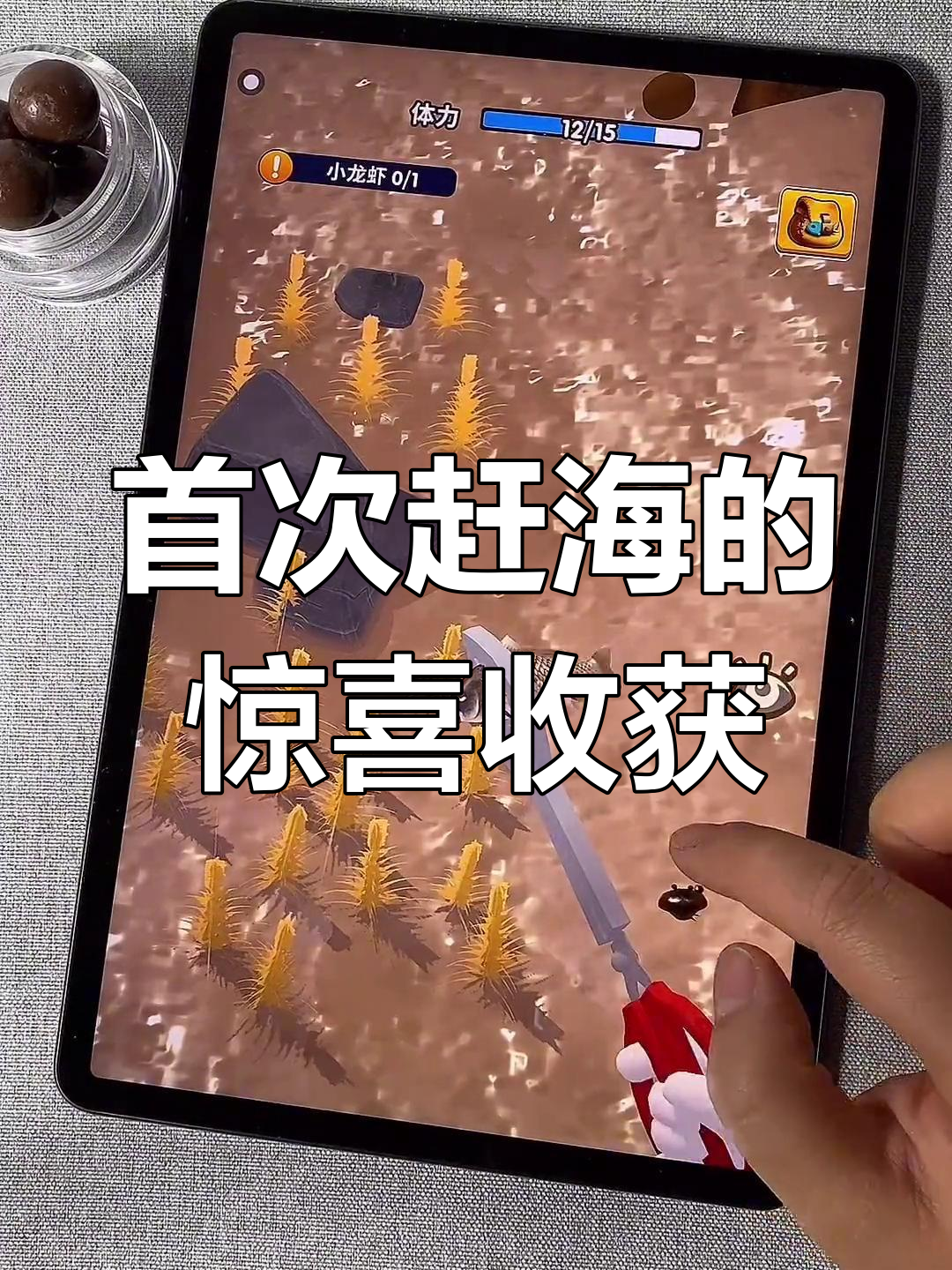 第一次赶海抓闸蟹,竟然遇到彩色龙虾!