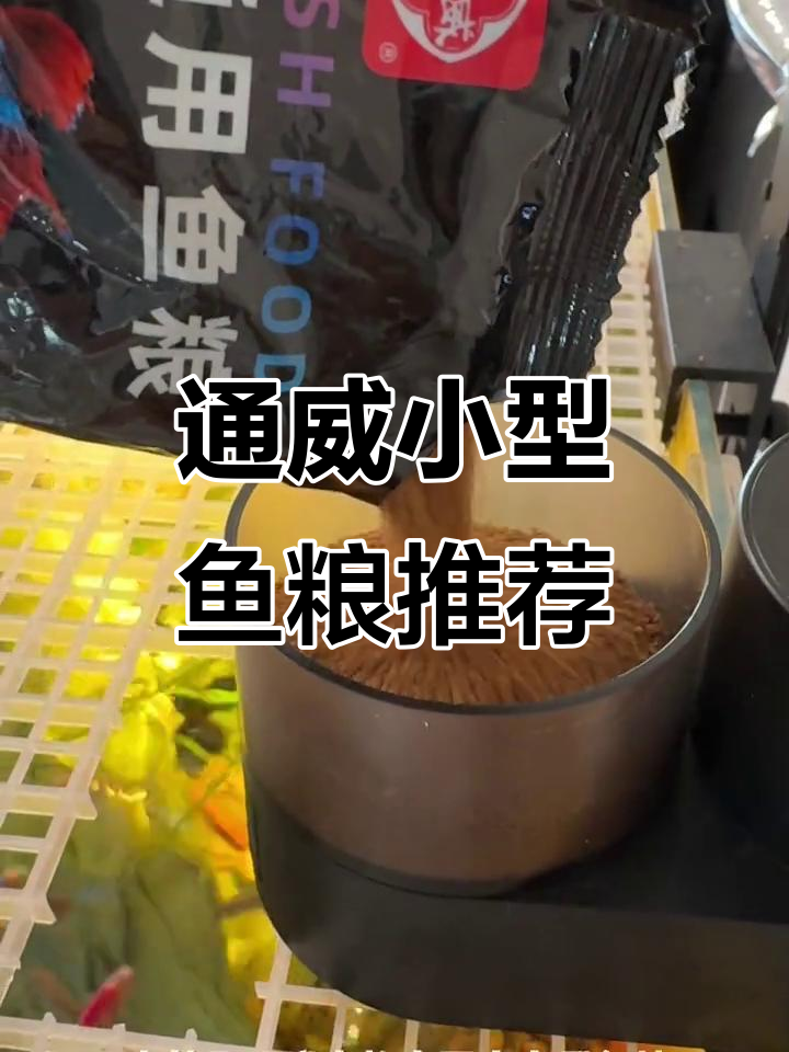 小型鱼饲料选通威,高蛋白助力成长