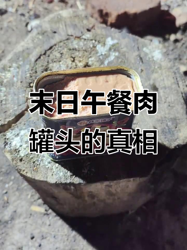 末日罐头里的常客：午餐肉，口感与添加剂的较量