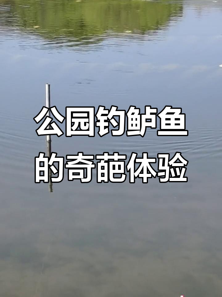 公园惊现鲈鱼群,钓鱼佬的“渣男”挑战