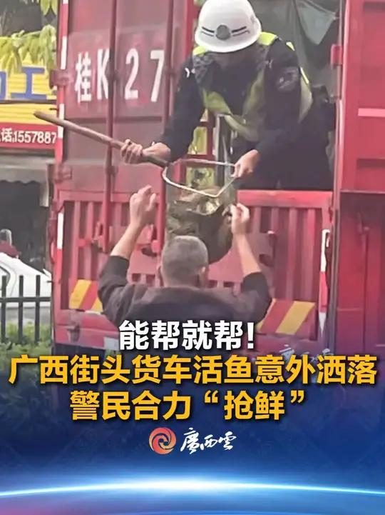 近日,广西南宁街头一辆大货车活鱼意外洒落,警察和热心市民纷纷帮忙捡起。(来源:北海融媒)