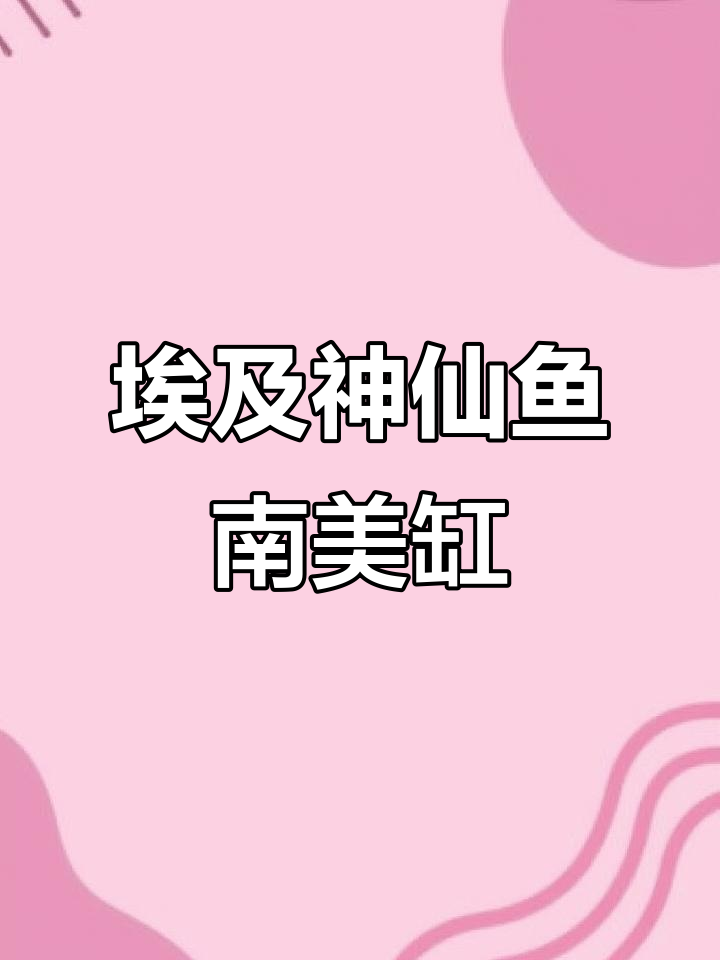 南美缸造景,埃及神仙鱼与水草的完美融合