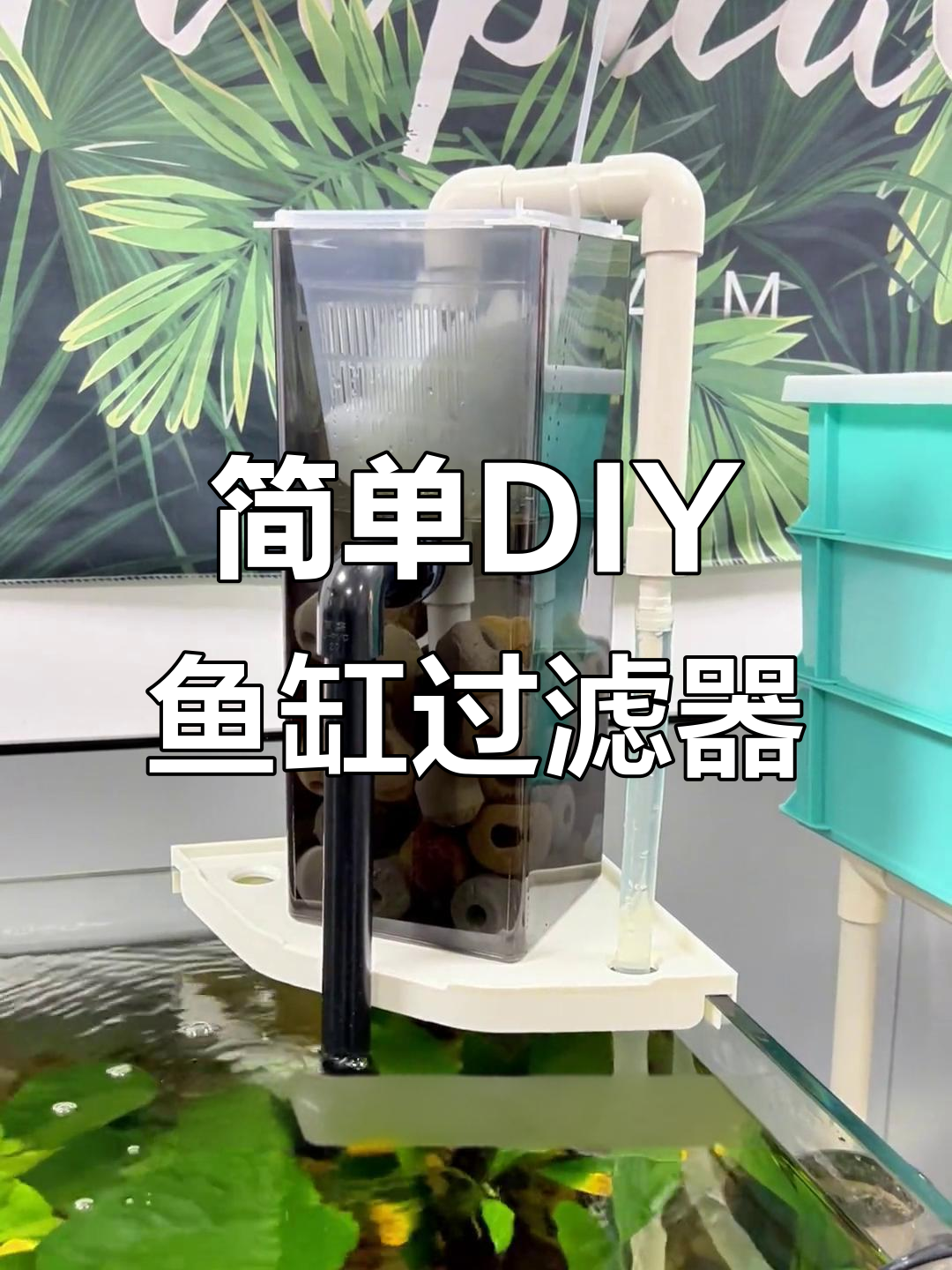 自制鱼缸过滤器教程,轻松打造美观实用的过滤系统