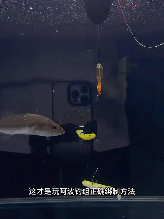 阿波矶钓套装全套路滑浮游海钓远投鲢鳙钓组淡水鲈鱼阿波配件大全 海钓非常好用阿波钓组,不仅可