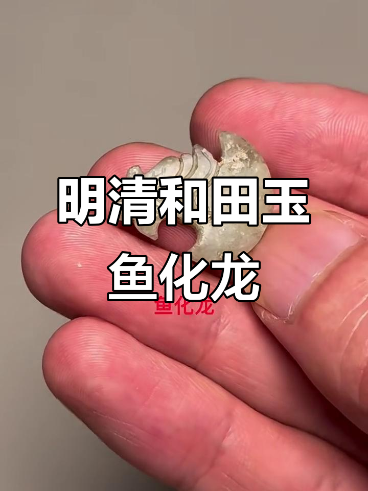 罕见明清和田玉鱼化龙,龙头栩栩如生