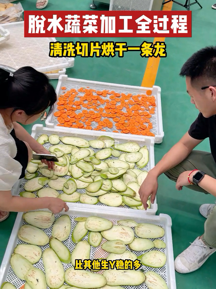 脱水蔬菜加工全过程,清洗切片烘干一条龙～