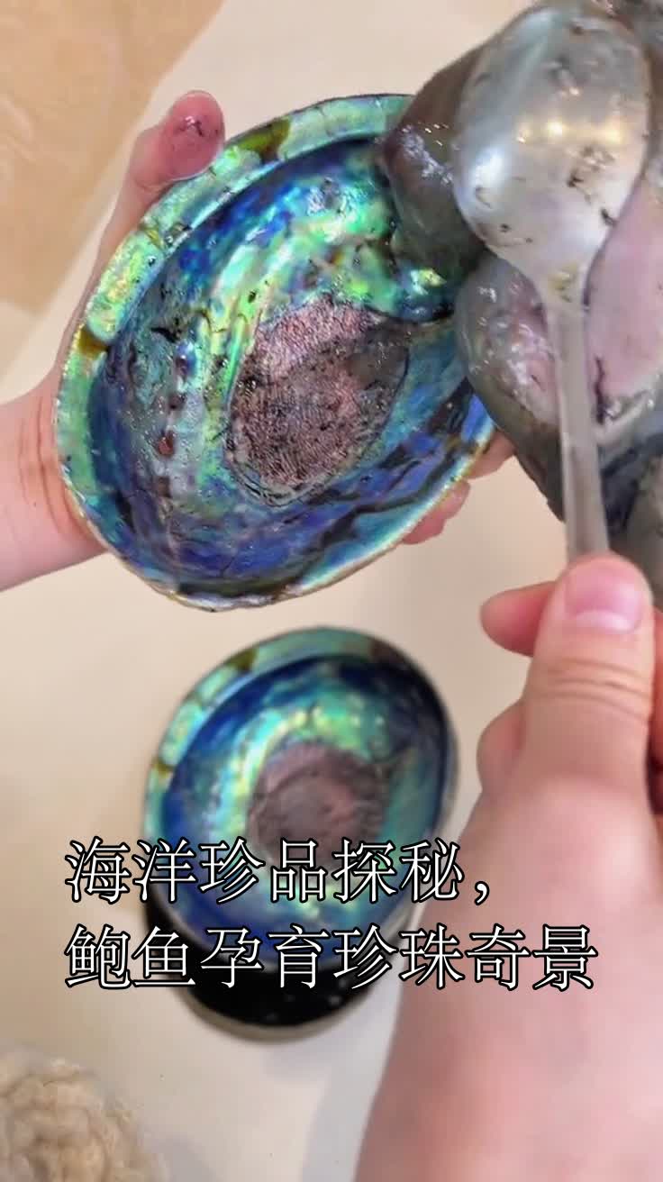 海洋珍品探秘,鲍鱼孕育珍珠奇景