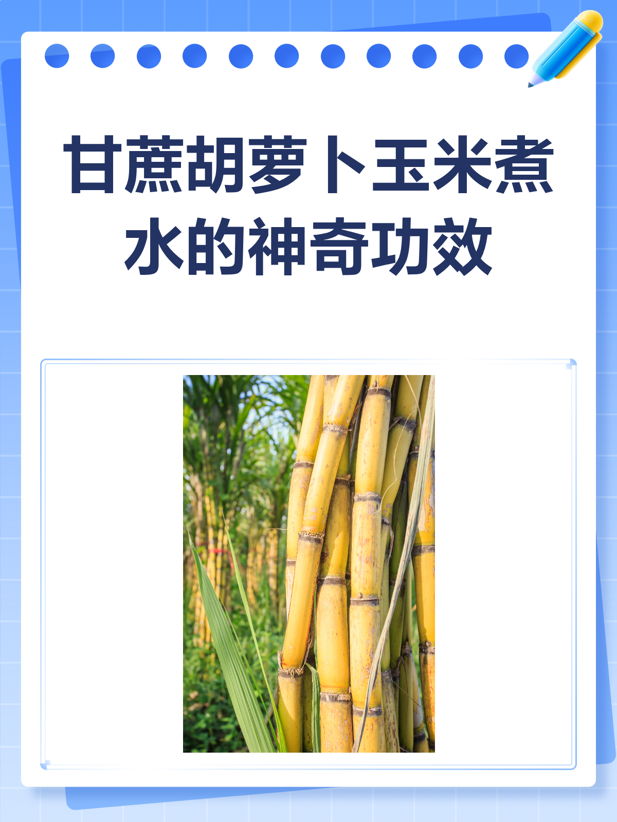 甘蔗+胡萝卜+玉米煮水,竟然这么有用!