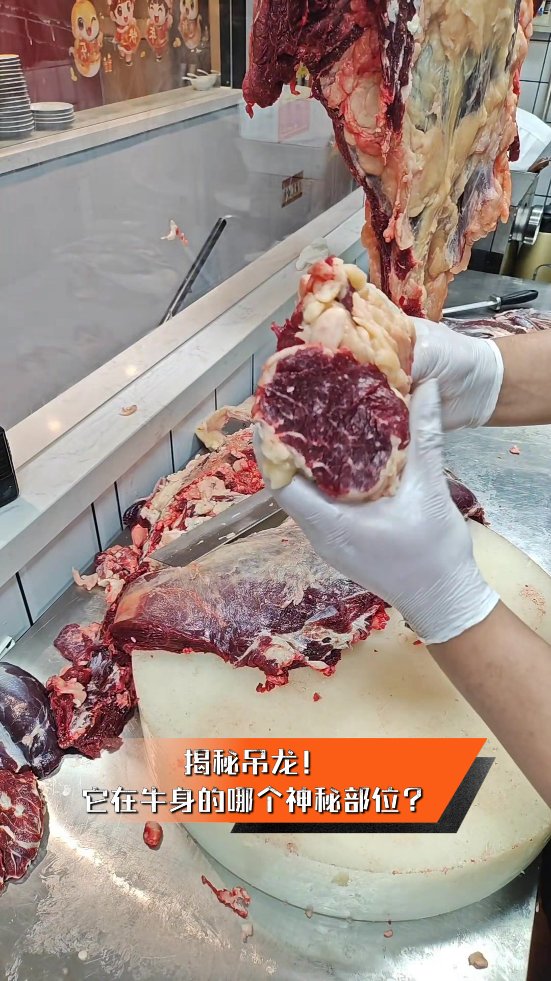揭秘吊龙!它在牛身的哪个神秘部位?