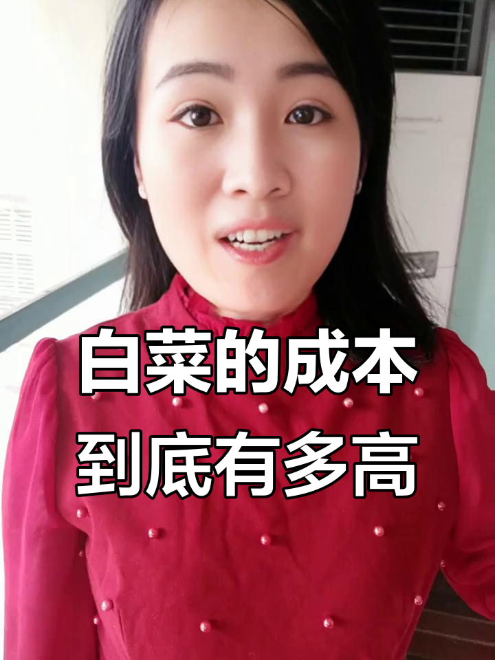 白菜价格背后的真相:从产地到消费者,成本揭秘