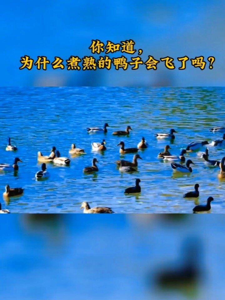 你知道,为什么“煮熟的鸭子”会飞了吗