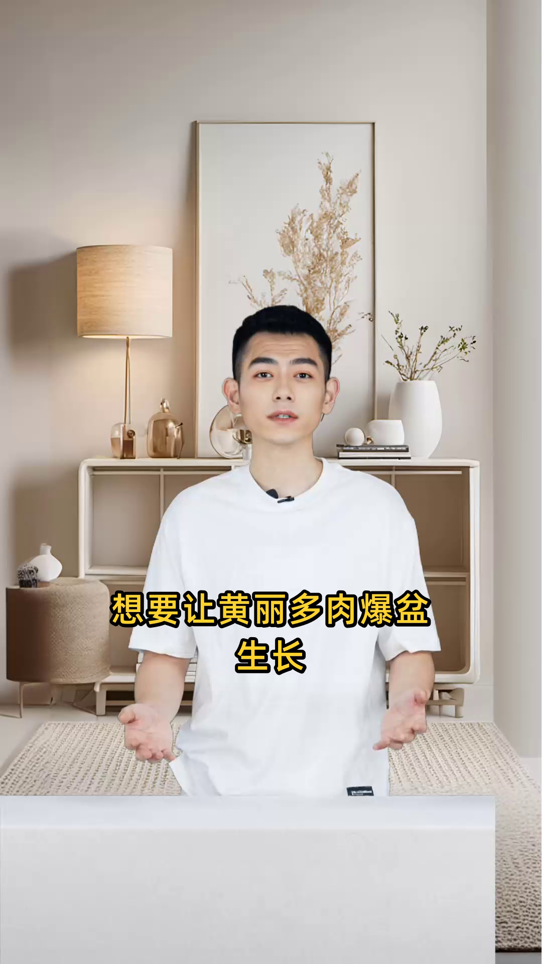 黄丽多肉植物的养护技巧、繁殖方法及日常注意事项