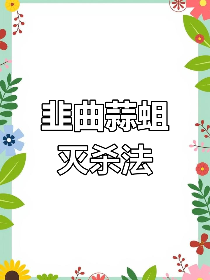 韭菜蛆虫一扫光,简单高效方法揭秘