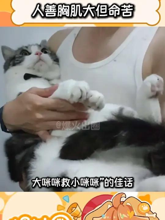 兄弟你是不是动了谁的蛋糕啊 