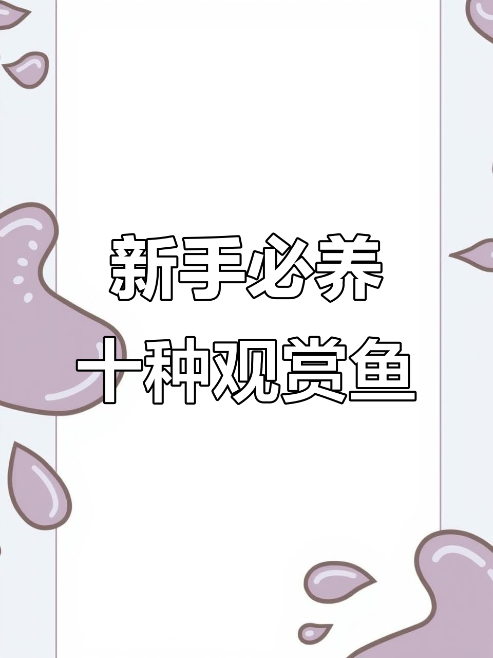 适合新手养的十大观赏鱼,冷水热带都有